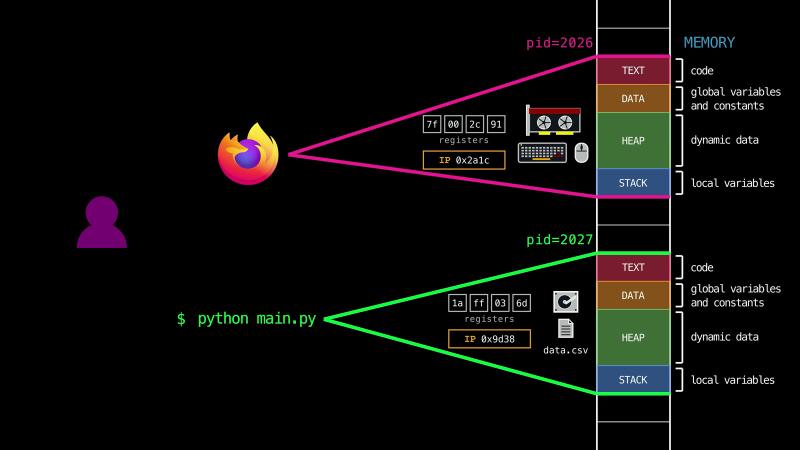 Two processes, Firefox with pid 2026 and $ python main.py with pid 2027, each with its registers, instruction pointer (IP), and resources (a graphics card, keyboard, and mouse; a disk and data.csv), and its own address space: text for code, data for global variables and constants, heap for dynamic data, and stack for local variables